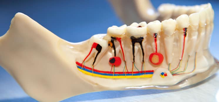 dentisterie générale